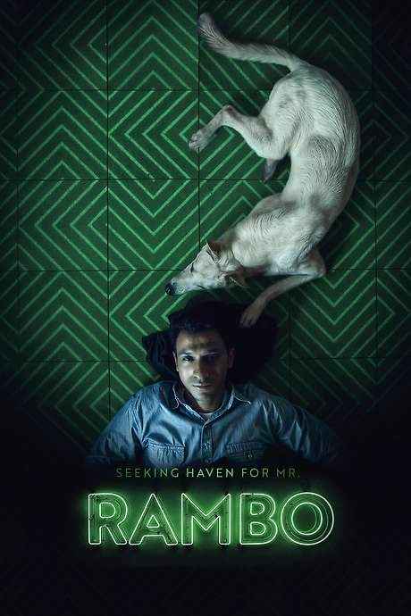 Seeking Haven for Mr. Rambo